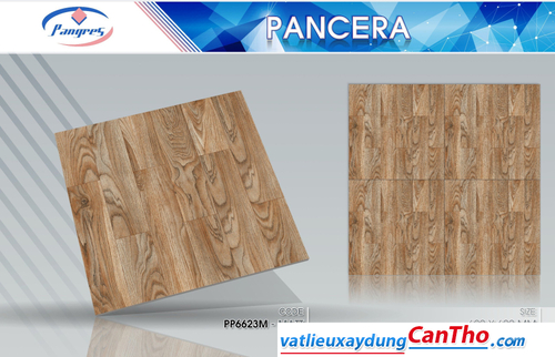 Pancera PP 6623